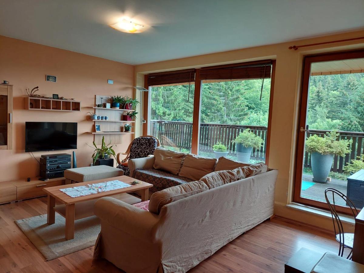 Panorama Apartman Svadlenka Rokytnice nad Jizerou Luaran gambar