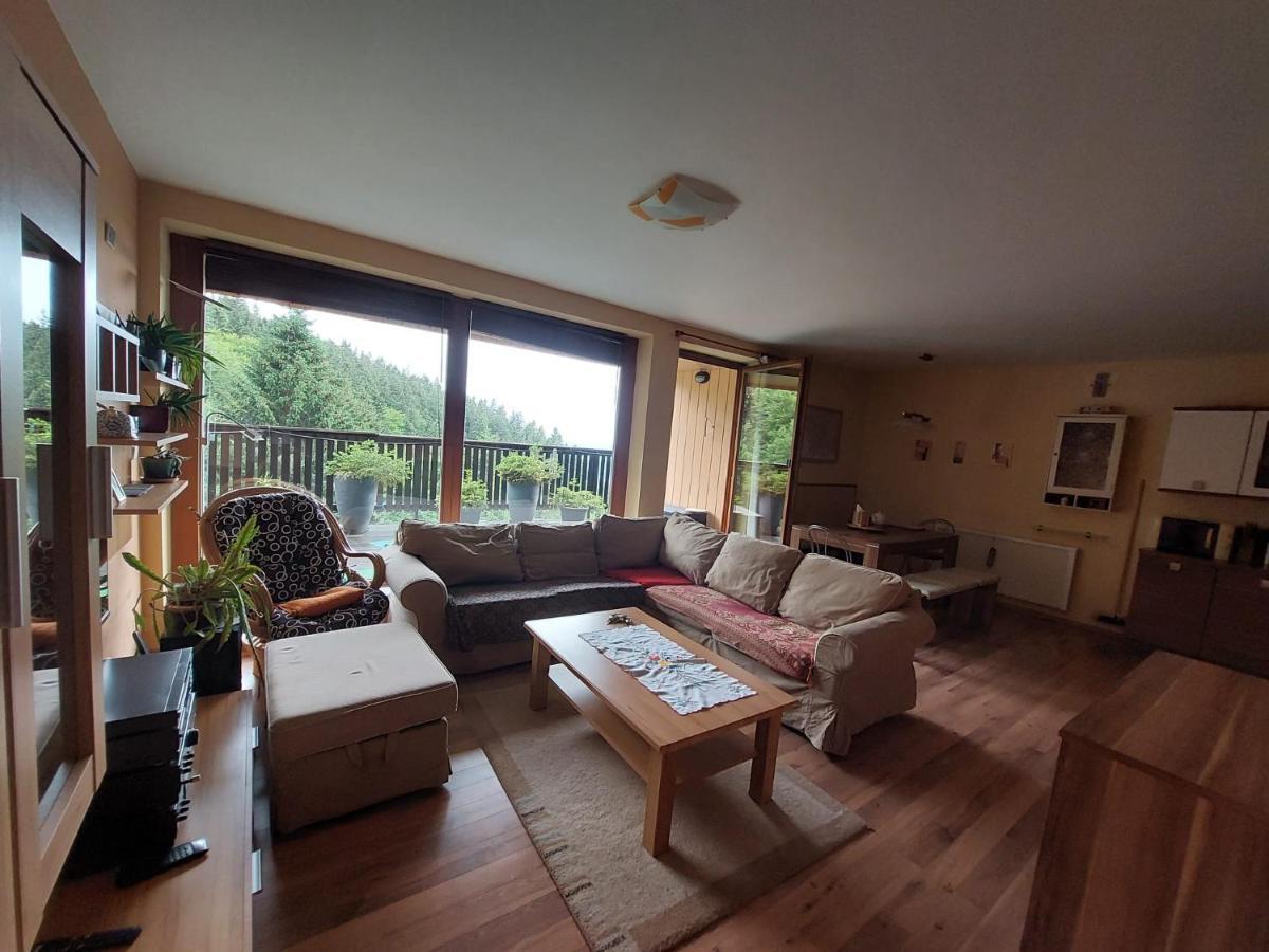 Panorama Apartman Svadlenka Rokytnice nad Jizerou Luaran gambar